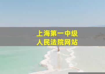 上海第一中级人民法院网站