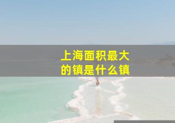 上海面积最大的镇是什么镇