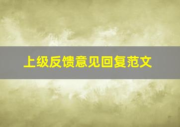 上级反馈意见回复范文