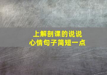 上解剖课的说说心情句子简短一点