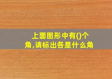 上面图形中有()个角,请标出各是什么角