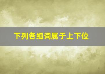 下列各组词属于上下位