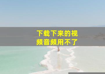 下载下来的视频音频用不了