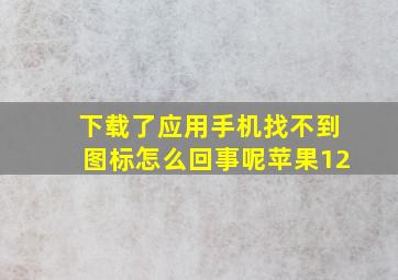 下载了应用手机找不到图标怎么回事呢苹果12