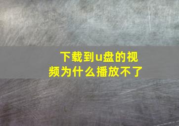 下载到u盘的视频为什么播放不了