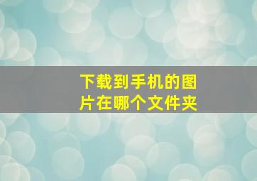 下载到手机的图片在哪个文件夹