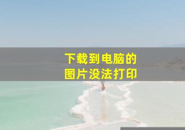 下载到电脑的图片没法打印