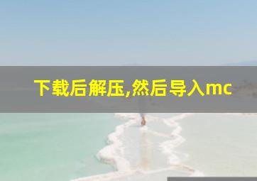 下载后解压,然后导入mc