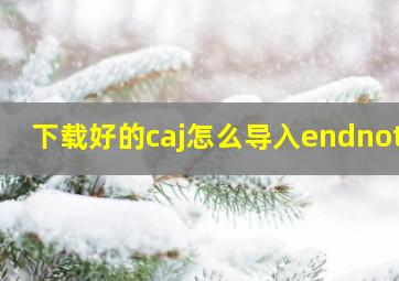 下载好的caj怎么导入endnote