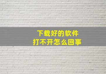 下载好的软件打不开怎么回事