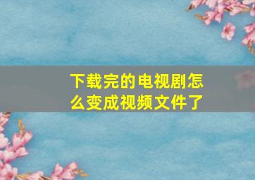 下载完的电视剧怎么变成视频文件了