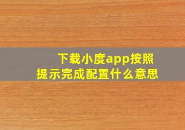 下载小度app按照提示完成配置什么意思