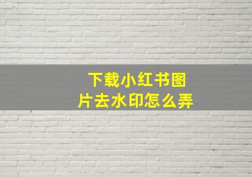 下载小红书图片去水印怎么弄