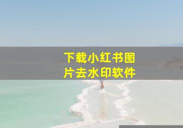 下载小红书图片去水印软件