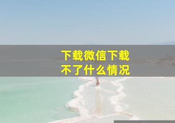 下载微信下载不了什么情况