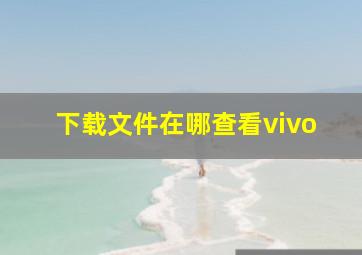 下载文件在哪查看vivo