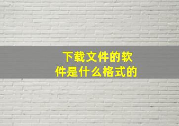 下载文件的软件是什么格式的