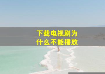 下载电视剧为什么不能播放