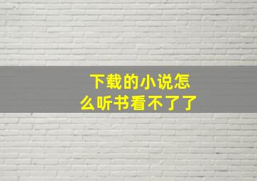 下载的小说怎么听书看不了了