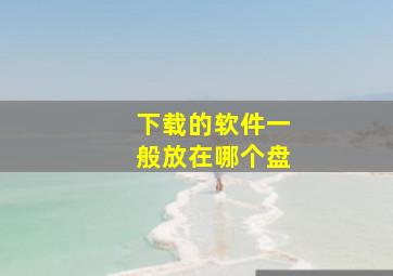 下载的软件一般放在哪个盘