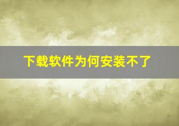 下载软件为何安装不了