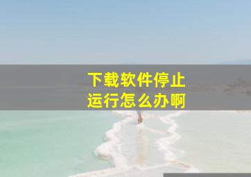 下载软件停止运行怎么办啊