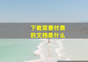 下载需要付费的文档是什么