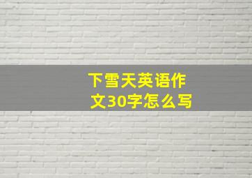 下雪天英语作文30字怎么写