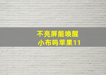 不亮屏能唤醒小布吗苹果11