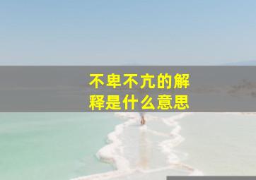 不卑不亢的解释是什么意思