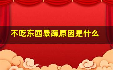 不吃东西暴躁原因是什么