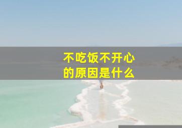 不吃饭不开心的原因是什么