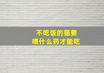 不吃饭的猫要喂什么药才能吃