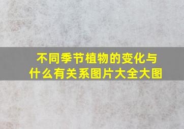 不同季节植物的变化与什么有关系图片大全大图