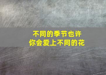 不同的季节也许你会爱上不同的花