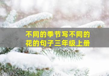 不同的季节写不同的花的句子三年级上册