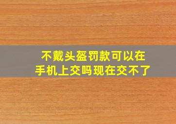 不戴头盔罚款可以在手机上交吗现在交不了