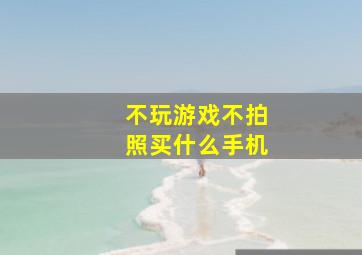 不玩游戏不拍照买什么手机