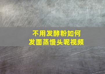 不用发酵粉如何发面蒸馒头呢视频