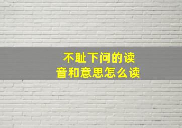 不耻下问的读音和意思怎么读