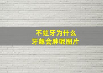 不蛀牙为什么牙龈会肿呢图片