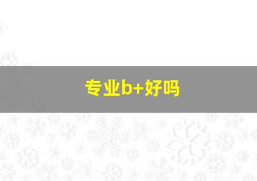 专业b+好吗