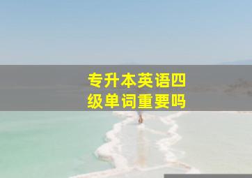 专升本英语四级单词重要吗