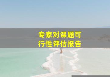 专家对课题可行性评估报告