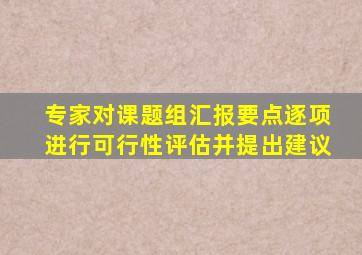 专家对课题组汇报要点逐项进行可行性评估并提出建议