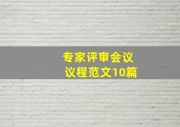 专家评审会议议程范文10篇