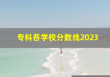 专科各学校分数线2023