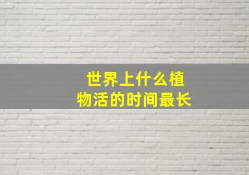 世界上什么植物活的时间最长