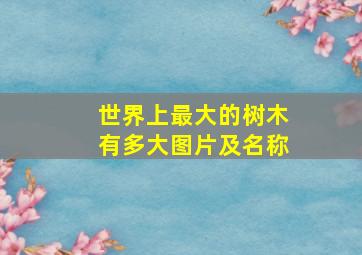 世界上最大的树木有多大图片及名称