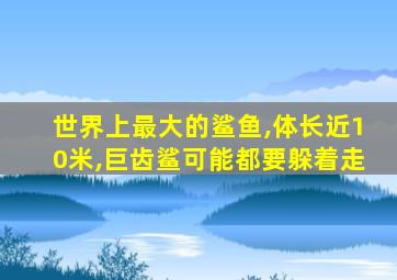 世界上最大的鲨鱼,体长近10米,巨齿鲨可能都要躲着走